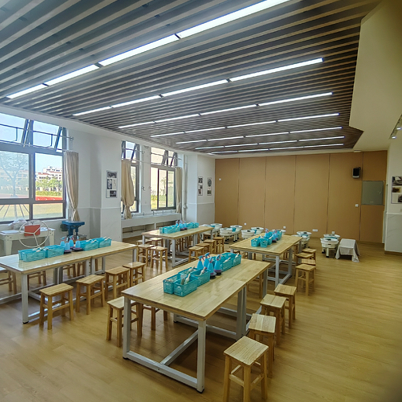 ��Сѧ���ս���